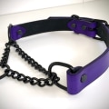 Collars and Leashes: A Comprehensive Guide to Enhancing Your BDSM and Bondage Play