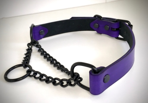 Collars and Leashes: A Comprehensive Guide to Enhancing Your BDSM and Bondage Play